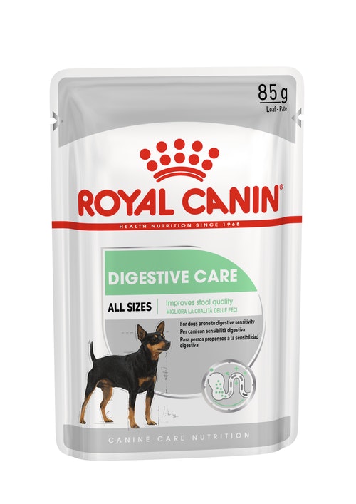 Royal Canin Digestive Care Loaf สำหรับสุนัขโต ทุกขนาด ที่มีปัญหาระบบย่อยอาหาร