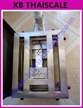 เครื่องชั่งกันน้ำ เครื่องชั่งดิจิตอลแบบกันน้ำ เครื่องชังสแตนเลส พิกัด 150kg ค่าละเอียด 10g ขนาดแท่น 50x60cm ยี่ห้อ CAS รุ่น CI200S 150kg/10g
