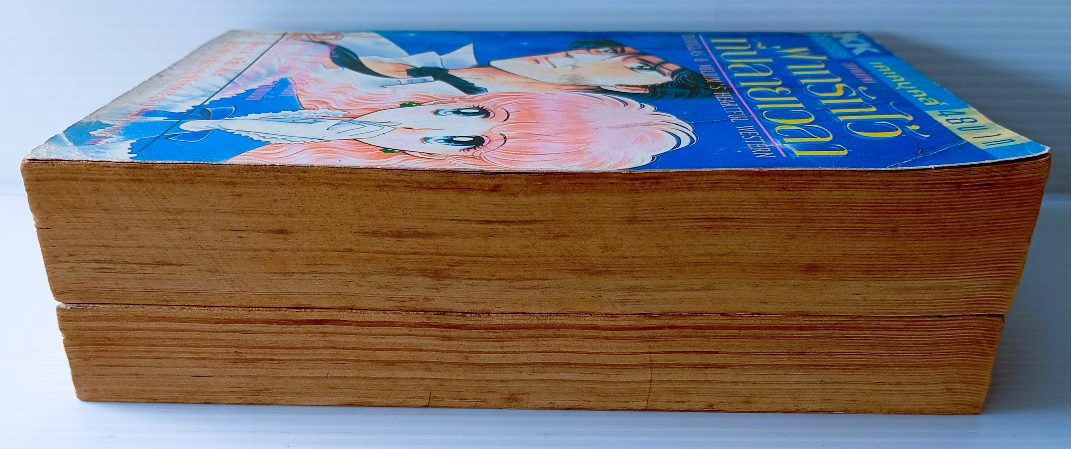 ฝากรักไว้ที่ปลายฟ้า