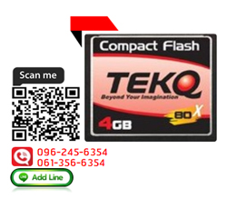 TEKQ,CF Card,2GB 80X,CompactFlash,Compact Flash,