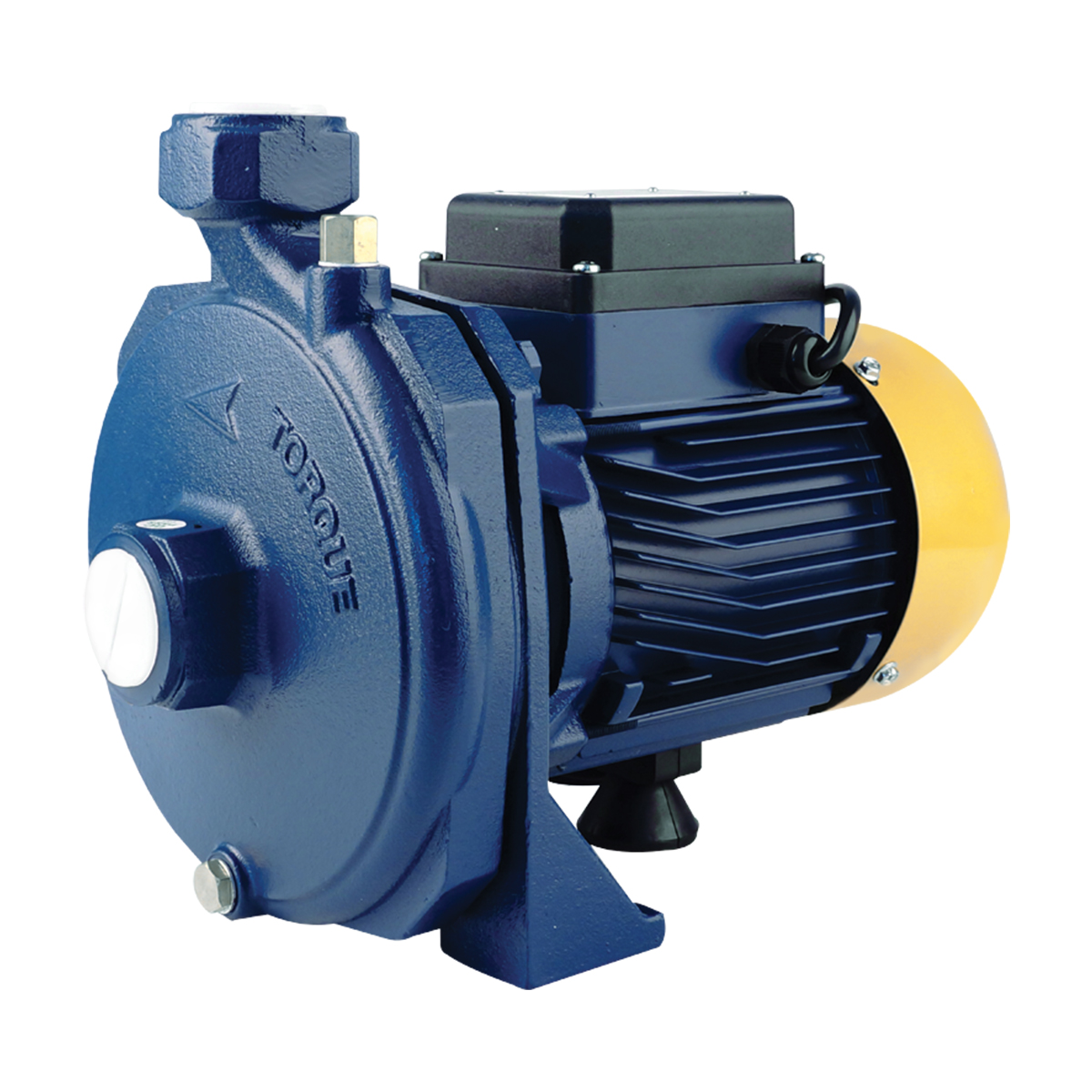 TORQUE ปั๊มน้ำหอยโข่งไฟฟ้า TQ-WP-TM100S