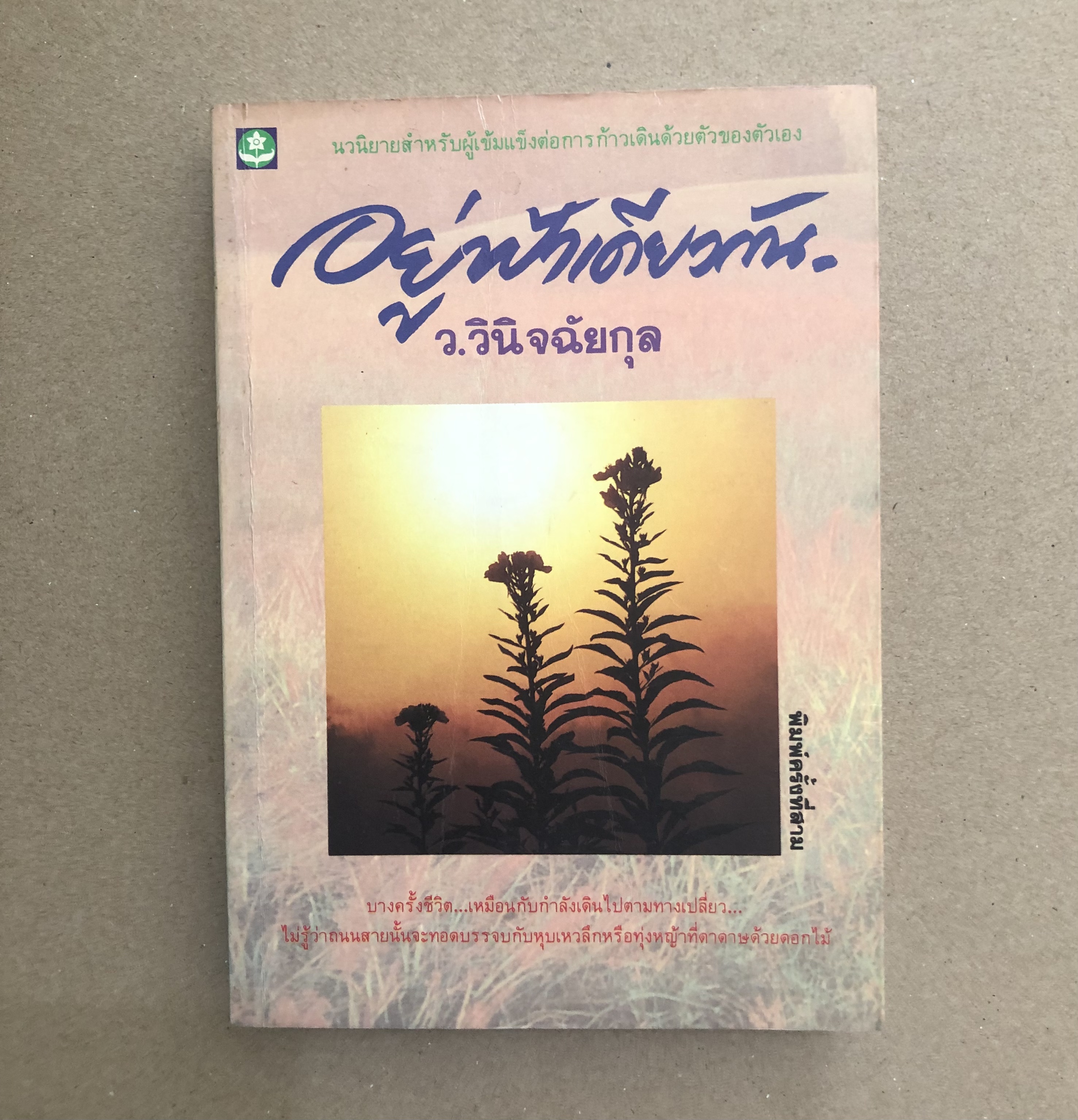 อยู่ฟ้าเดียวกัน - ว.วินิจฉัยกุล