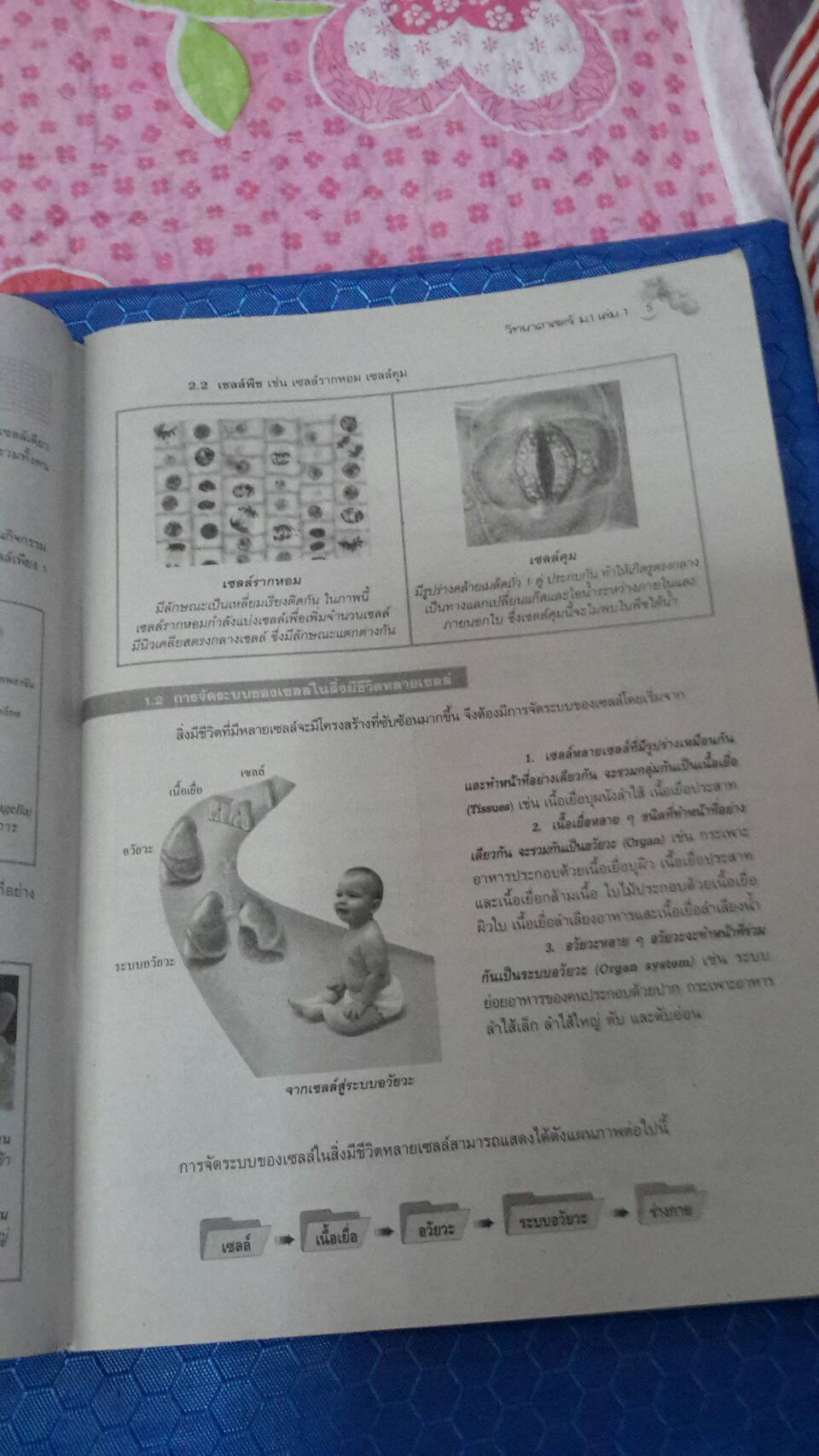 หนังสือสื่อการเรียนรู้และเสริมสร้างทักษะตามมาตรฐานและตัวชี้วัด กลุ่มสาระการเรียนรู้วิทยาศาสตร์ ชั้น ม.1 เล่ม 1 สำนักพิมพ์นิยมวิทยา