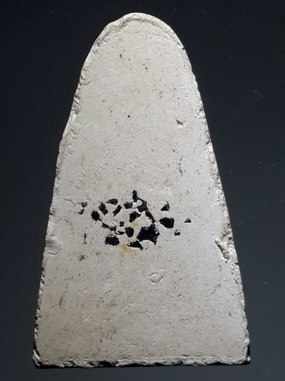 รหัสสินค้า หลวงปู่ทวด วัดต่างๆ 320 หลวงปู่ทวด เนื้อผง หลังโรยแร่มวลสาร ไม่ทราบที่