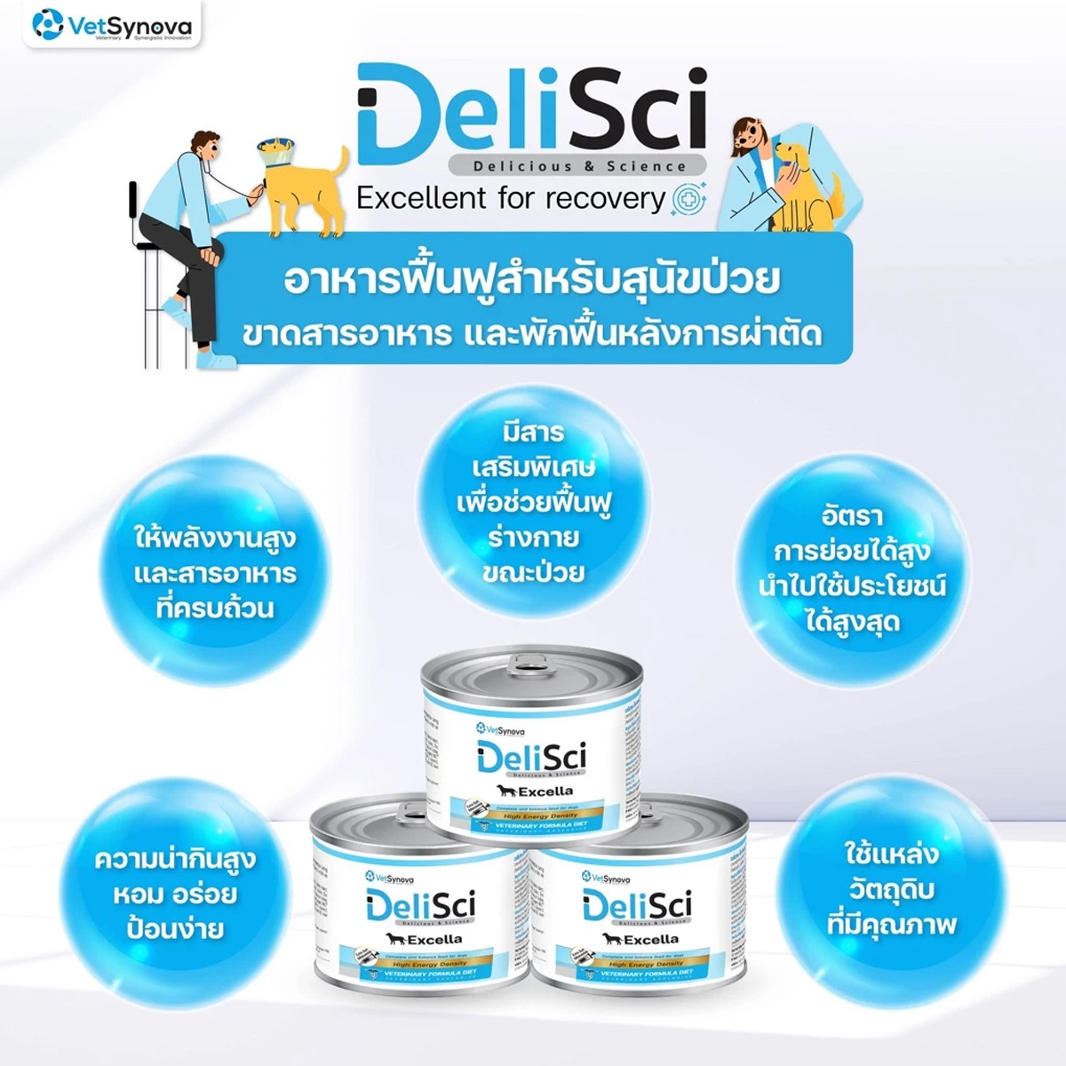 DeliSci : Excella อาหารฟื้นฟูสําหรับสัตว์ป่วย ขาดสารอาหาร และพักฟื้นหลังการผ่าตัด ที่ต้องการพลังงานสูง ขนาด 185g