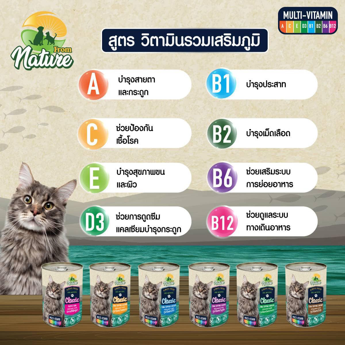 FROM NATURE อาหารกระป๋องเนื้อเยลลี่ สำหรับแมวทุกวัย ขนาด 400g