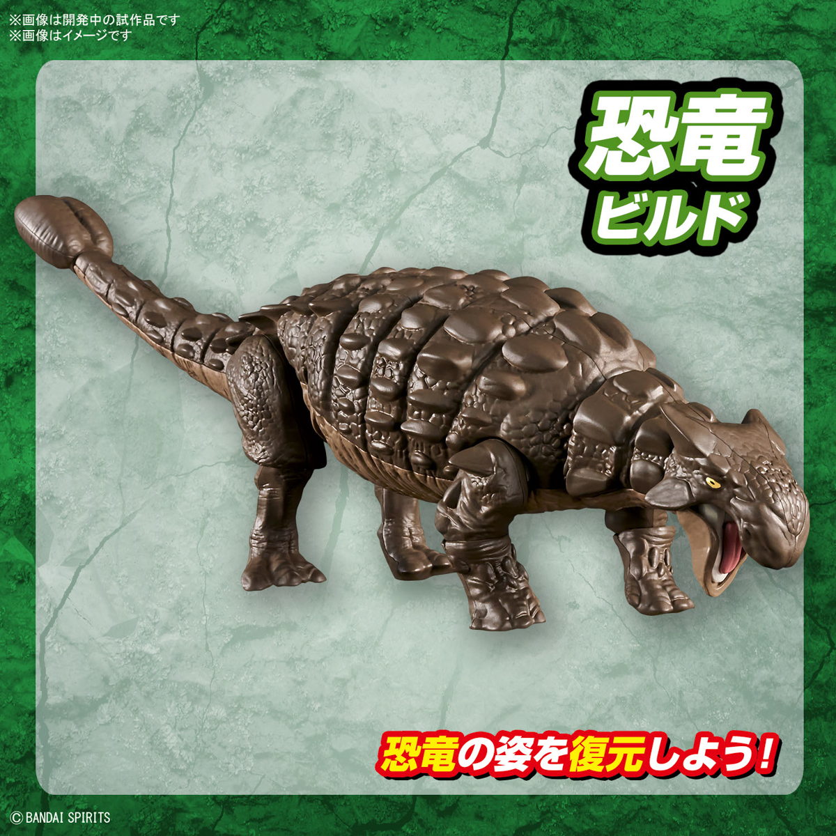 <Preorder ปิดวันที่2/7/2023 > 🔔เปิดรับPreorder ไม่ต้องมัดจำ Planosaurus Ankylosaurus