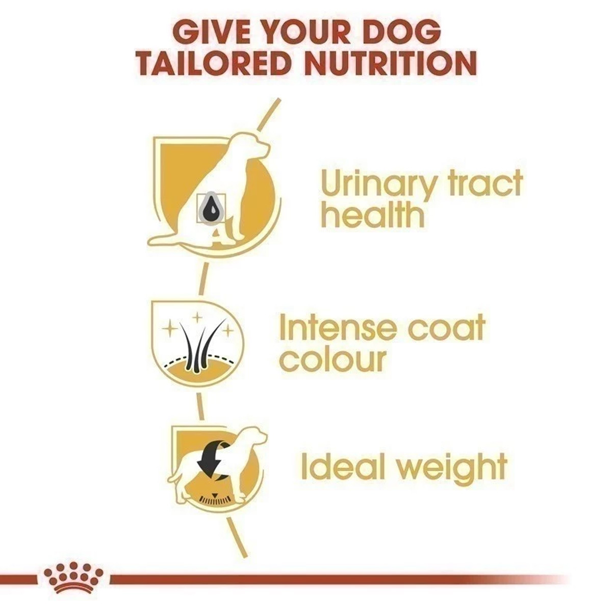 Royal Canin Schnauzer Adult 3kg อาหารเม็ดสุนัขโต พันธุ์มิเนียเจอร์ชนาวเซอร์ อายุ 10 เดือนขึ้นไป