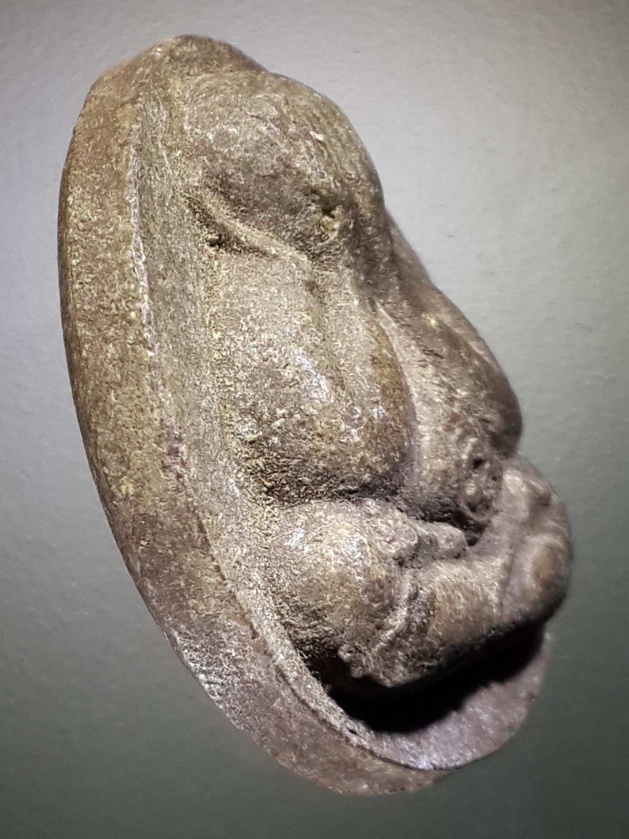 รหัสสินค้า พระปิดตา ทั่วไป 225 พระปิดตาเนื้อผง สีน้ำตาล หลังยันต์ 5 ท้องอุ ไม่ทราบสำนัก