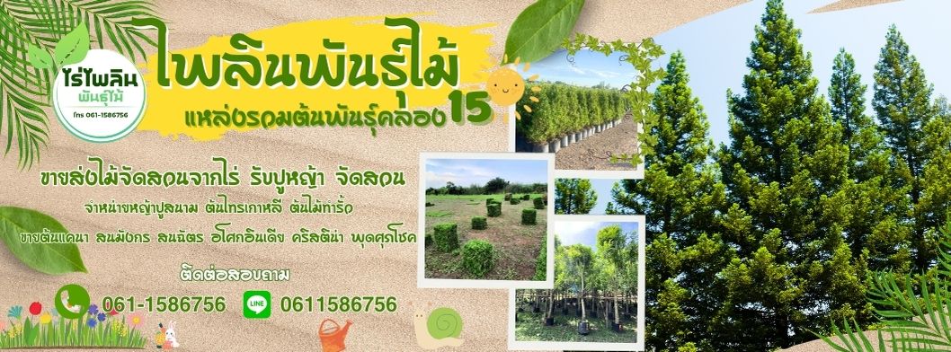 ขายต้นไม้ล้อมสวย