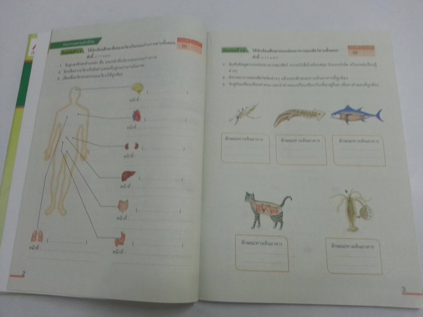 แบบวัดและบันทึกผลการเรียนรู้ วิชาวิทยาศาสตร์ชั้น ม.2 โดยพัชรินทร์ แสนพลเมือง สำนักพิพพ์ อจท