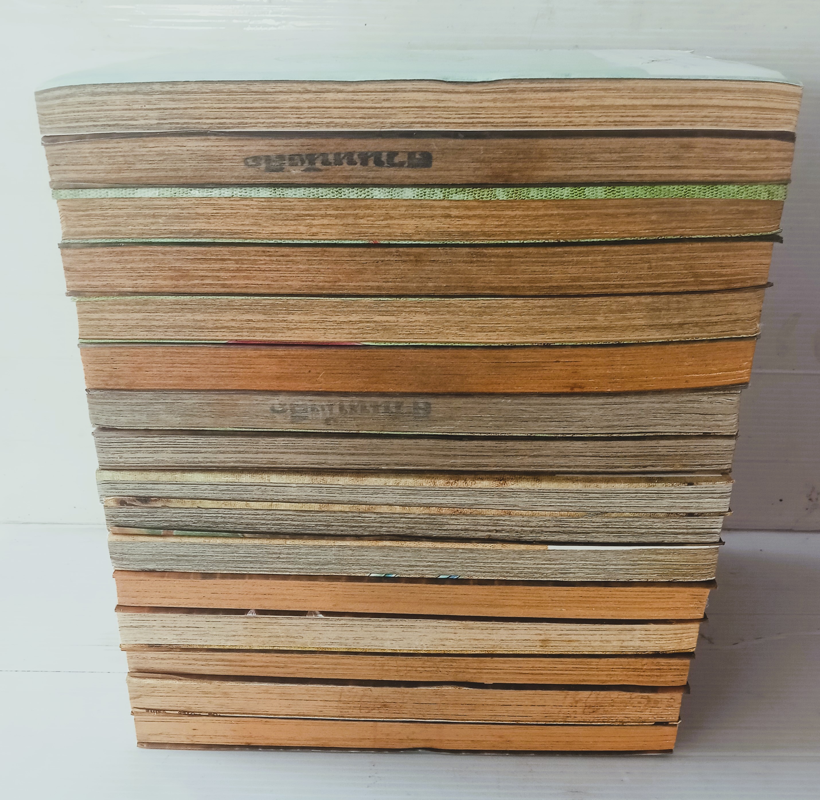 Godsaider Second (เช่า)