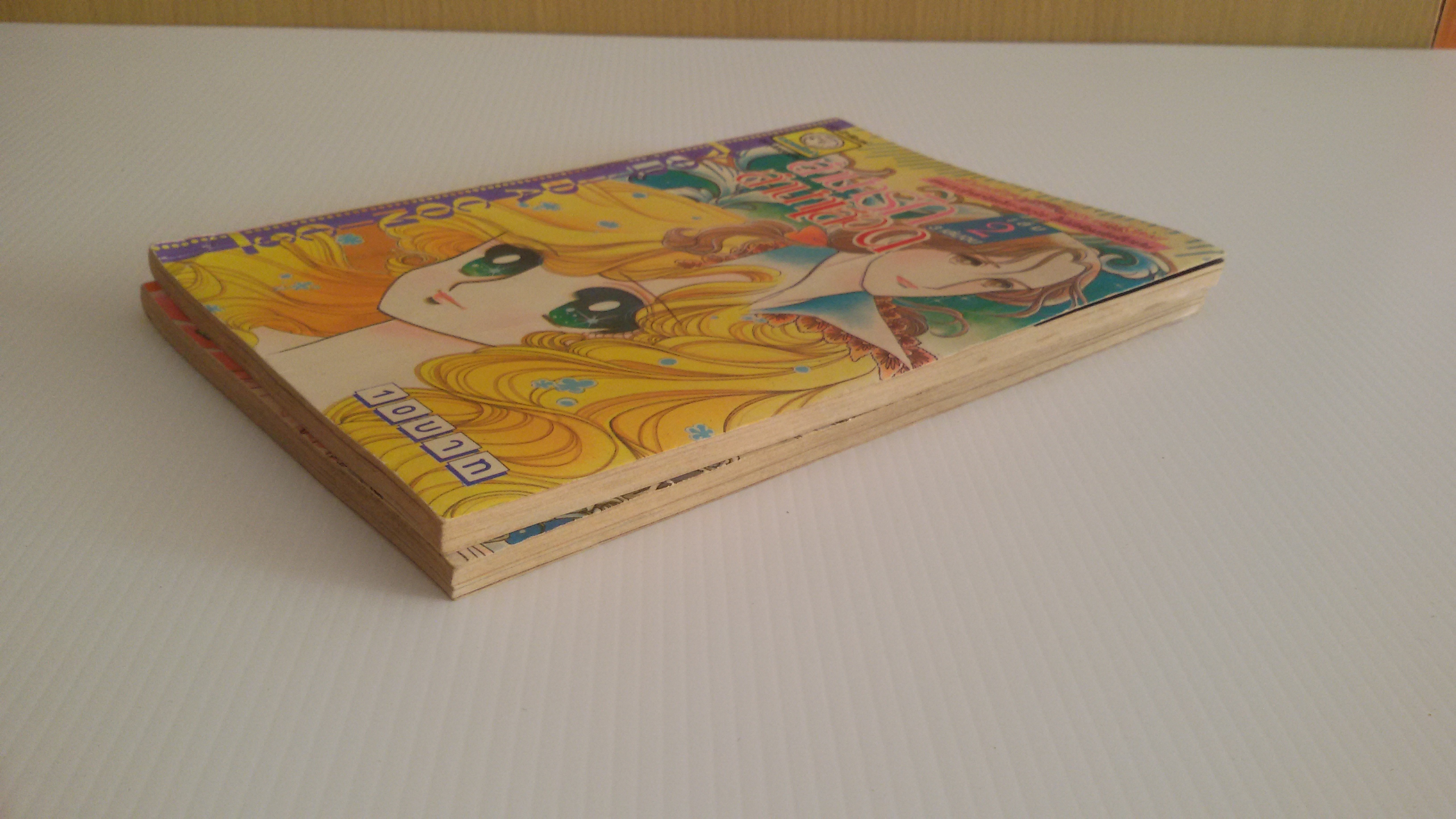 ลำนำรักลำนำเลือด เล่ม2-3 ( มี3 เล่มจบ)