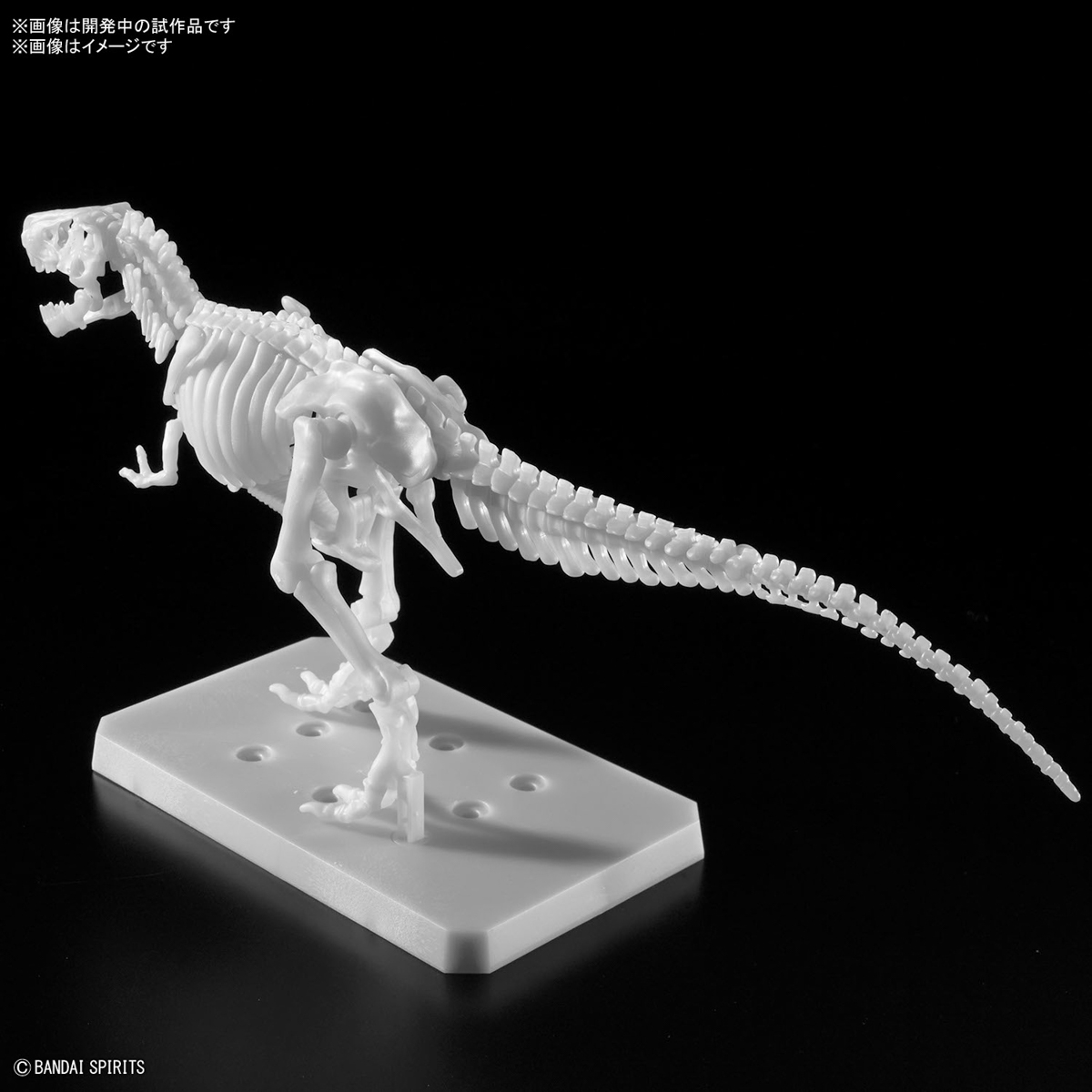 <Preorder ปิดรับวันที่ 3/4/2024 > 🔔เปิดรับPreorder ไม่ต้องมัดจำครับ Planosaurus Tyrannosaurus Painting Ver.