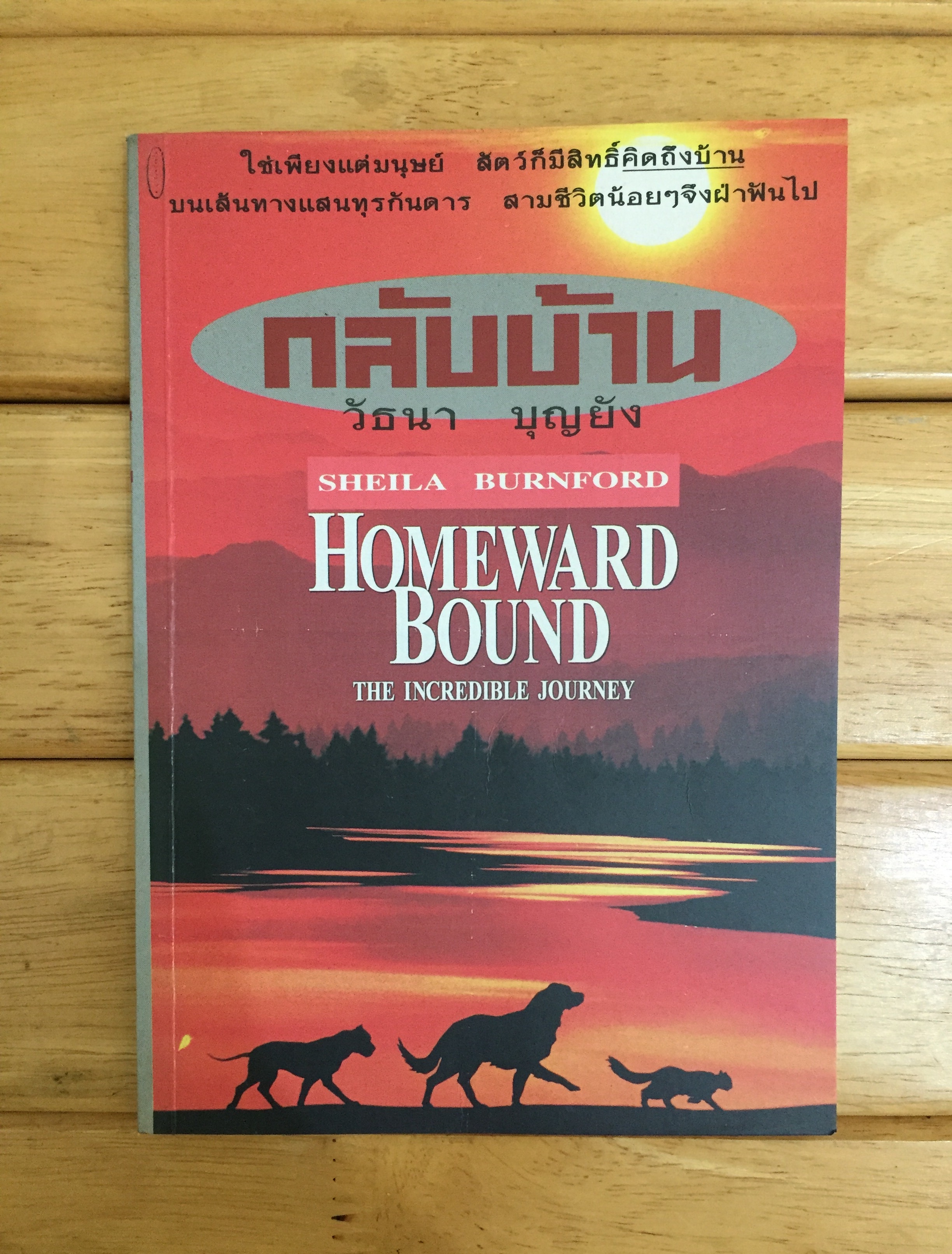 The Incredible Journey กลับบ้าน