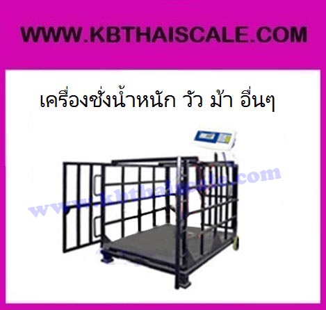 เครื่องชั่งสัตว์ เครื่องชั่งสัตว์เลี้ยง เครื่องชั่งน้ำหนักสัตว์ เครื่องชั่งน้ำหนัก เครื่องชั่งน้ำหนักวัว ม้า รุ่น WQ2-A Large ยี่ห้อ e-Accura