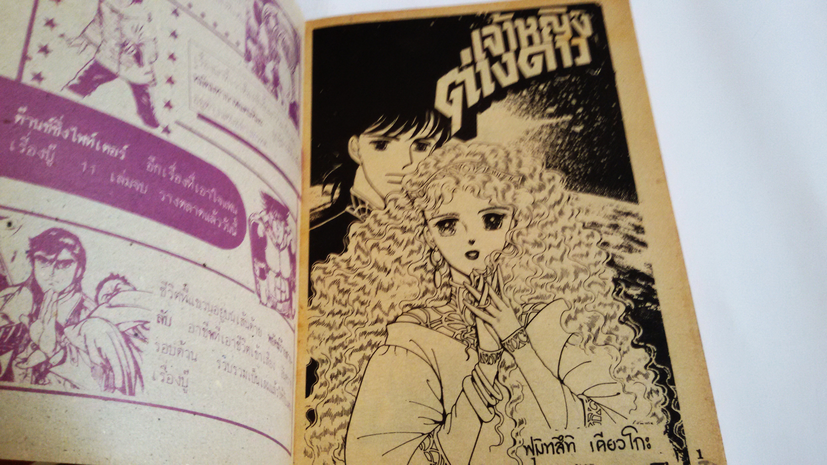 เจ้าหญิงต่างดาวเล่ม2(เล่มอวสาน)