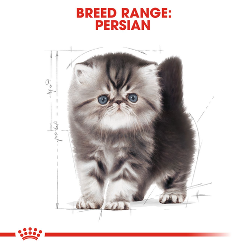 Royal Canin Kitten Persian โรยัล คานิน สำหรับลูกแมวเปอร์เซีย อายุ 4-12 เดือน