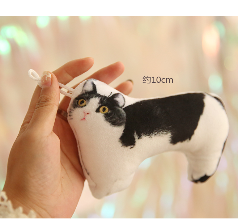 หมอนตุ๊กตาน้องถั่ว แมวของเซียวจ้าน