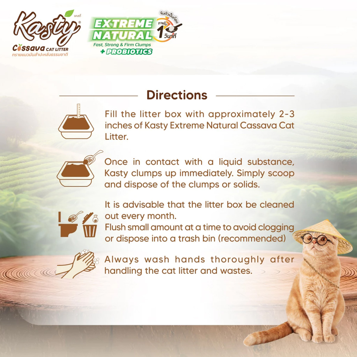 Kasty Extreme Natural เคสตี้ ทรายแมวมันสำปะหลัง (ไม่ติดกระบะทรายแมว) ขนาด 12l