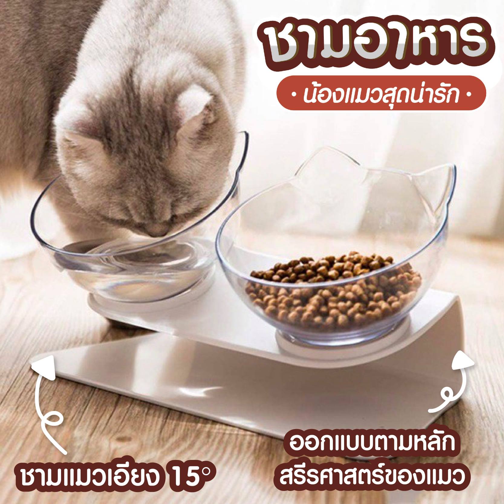 ชุดชามให้อาหารแมว แบบเอียง 15 องศา