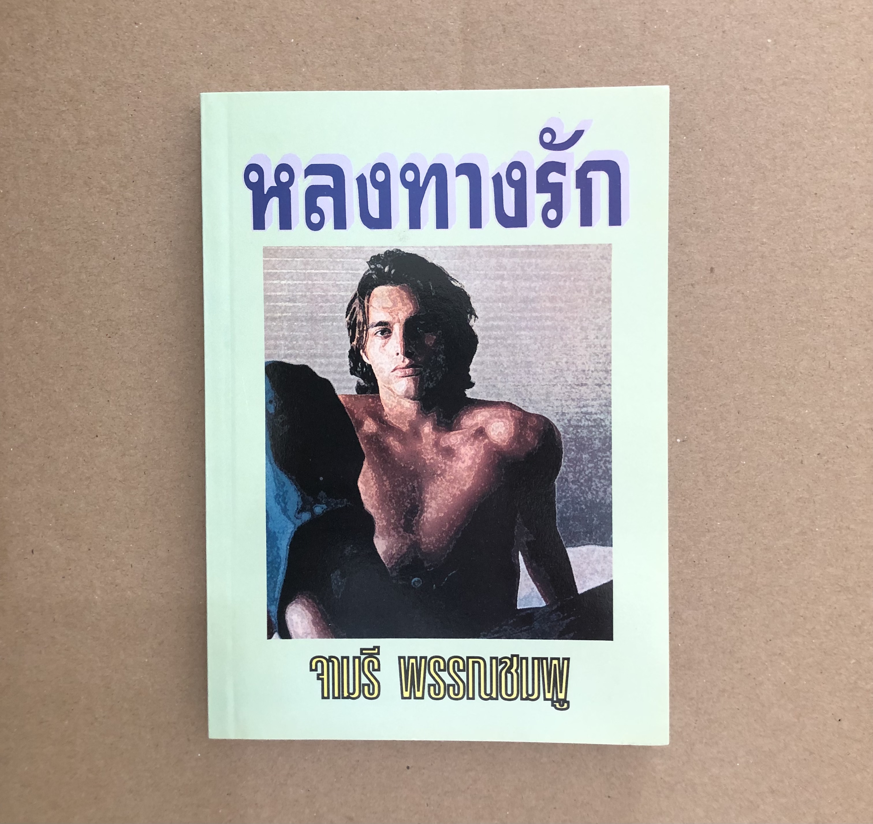 หลงทางรัก