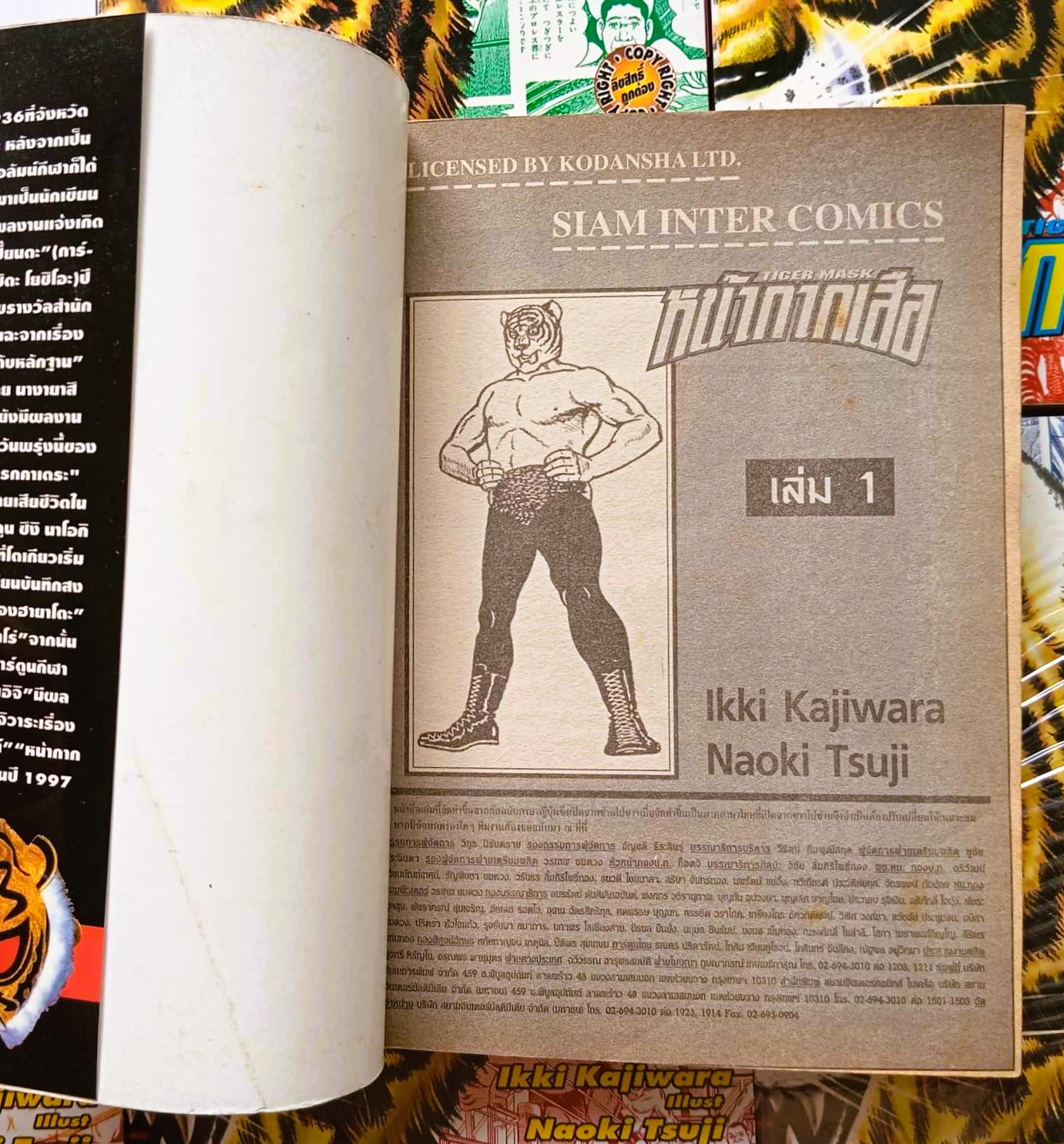 หน้ากากเสือ