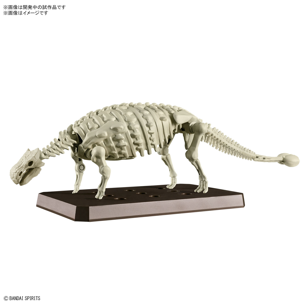 <Preorder ปิดวันที่2/7/2023 > 🔔เปิดรับPreorder ไม่ต้องมัดจำ Planosaurus Ankylosaurus