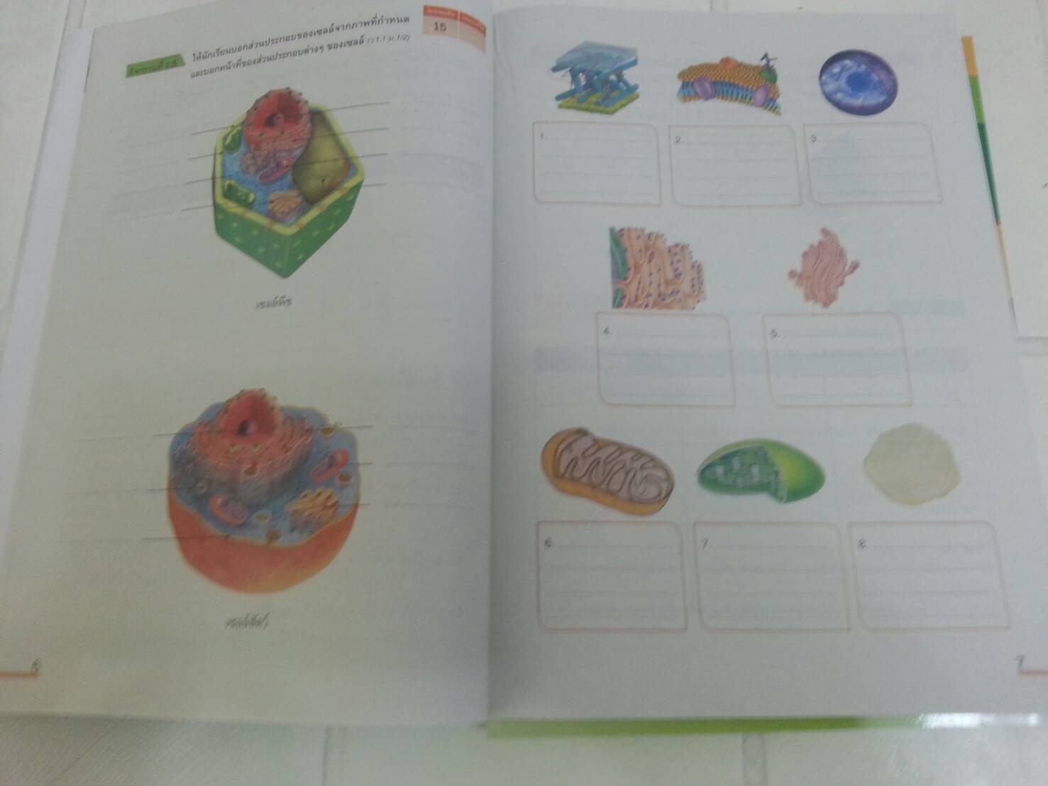 แบบวัดและบันทึกผลการเรียนรู้ วิชาวิทยาศาสตร์ชั้น ม.1 โดยพัชรินทร์ แสนพลเมือง สำนักพิพพ์ อจท