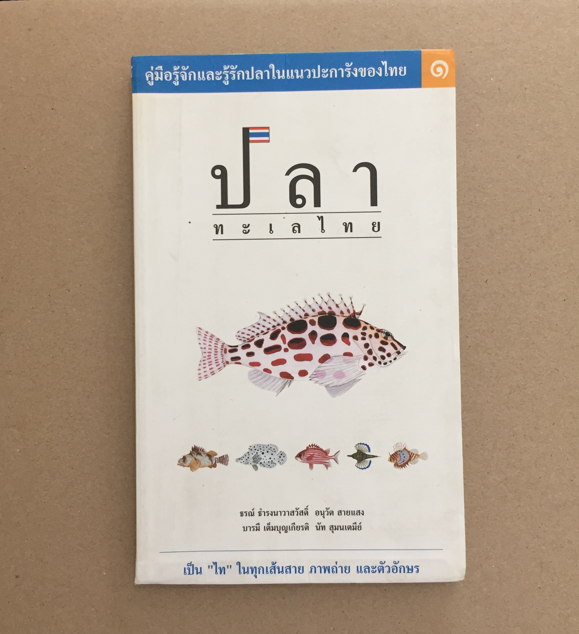 ปลาทะเลไทย