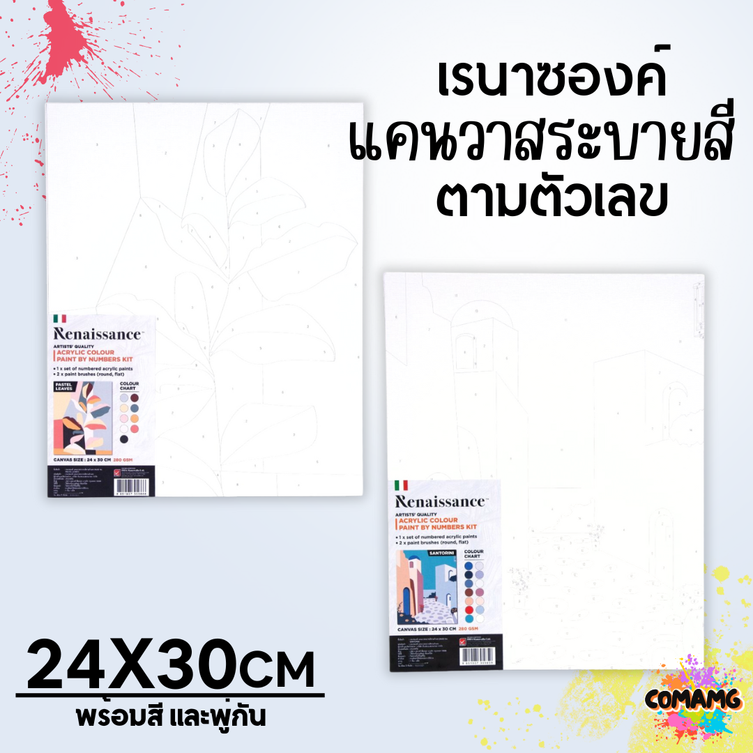 Renaissance ชุดแคนวาส ชุดระบายสีตามเลข Paint by Number Kit Size 24x30 cm. พร้อมส่ง