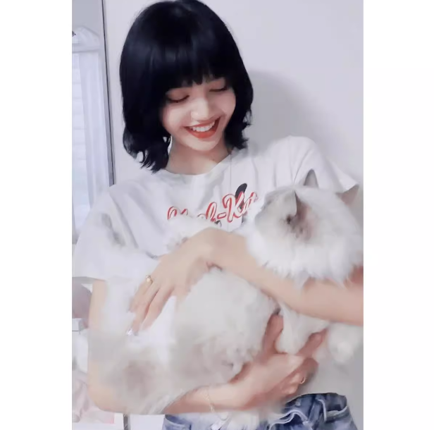 เสื้อยืด Cool Cat แบบลิซ่า