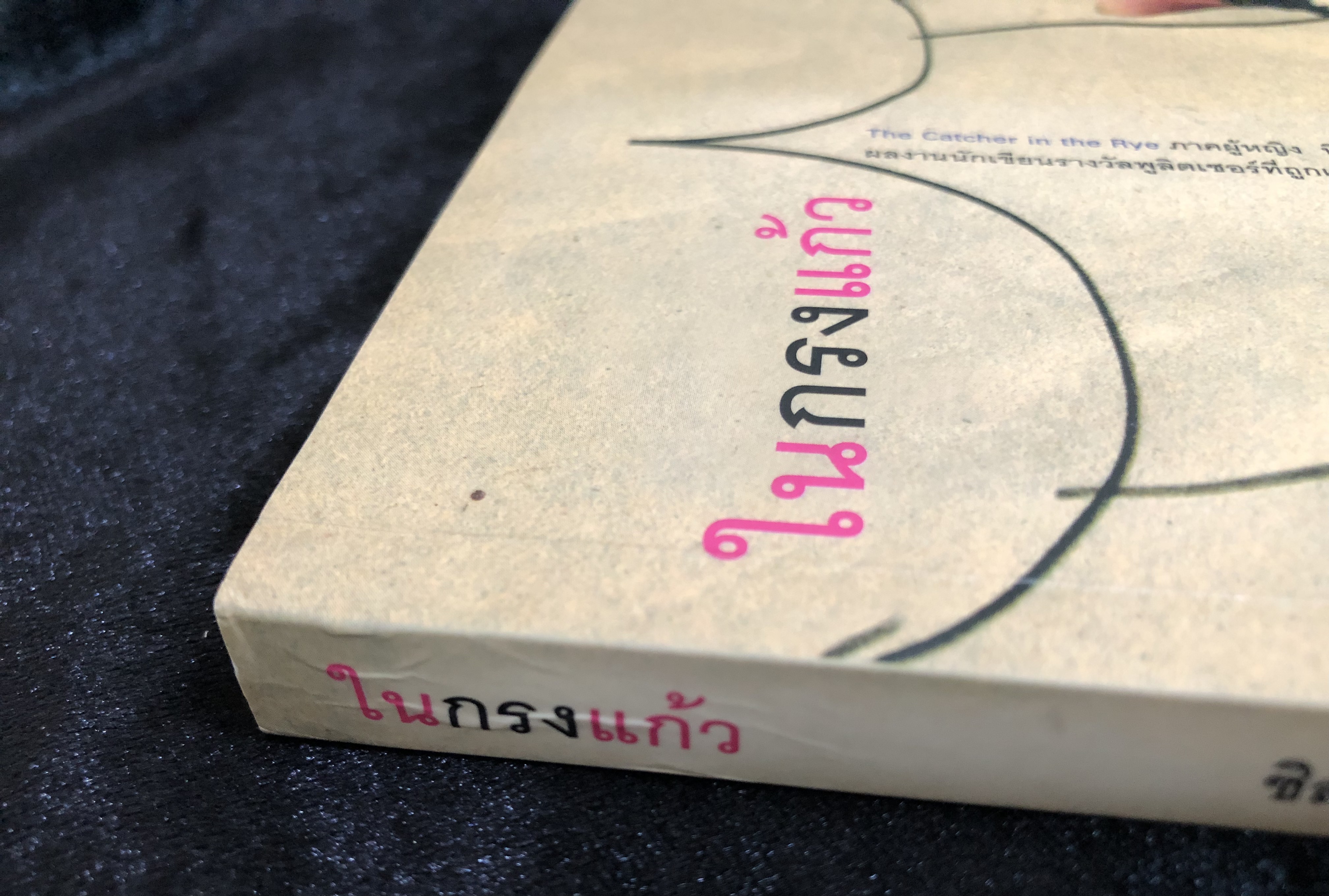 ในกรงแก้ว The Bell Jar - ซิลเวีย แพลท