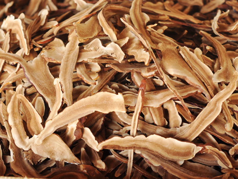 เห็ดหลินจือแดง Ganoderma Lucidum (Slice)