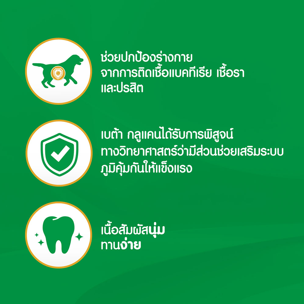 IAMS ไอแอมส์ อาหารเสริมสุนัข - อาหารเสริมเคี้ยวได้ ขนาด 168 G