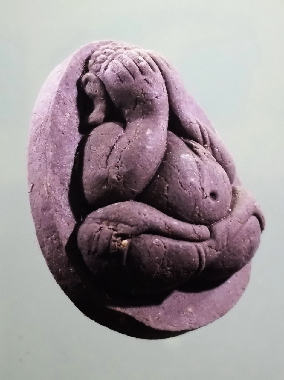 รหัสสินค้า พระเนื้อดิน เนื้อผง เนื้อว่าน 311 พระปิดตาเนื้อผง หลวงพ่อปกรณ์ วัดถ้ำผาแด่น จังหวัดสกลนคร ขนาดเทียบกับเหรียญบาท