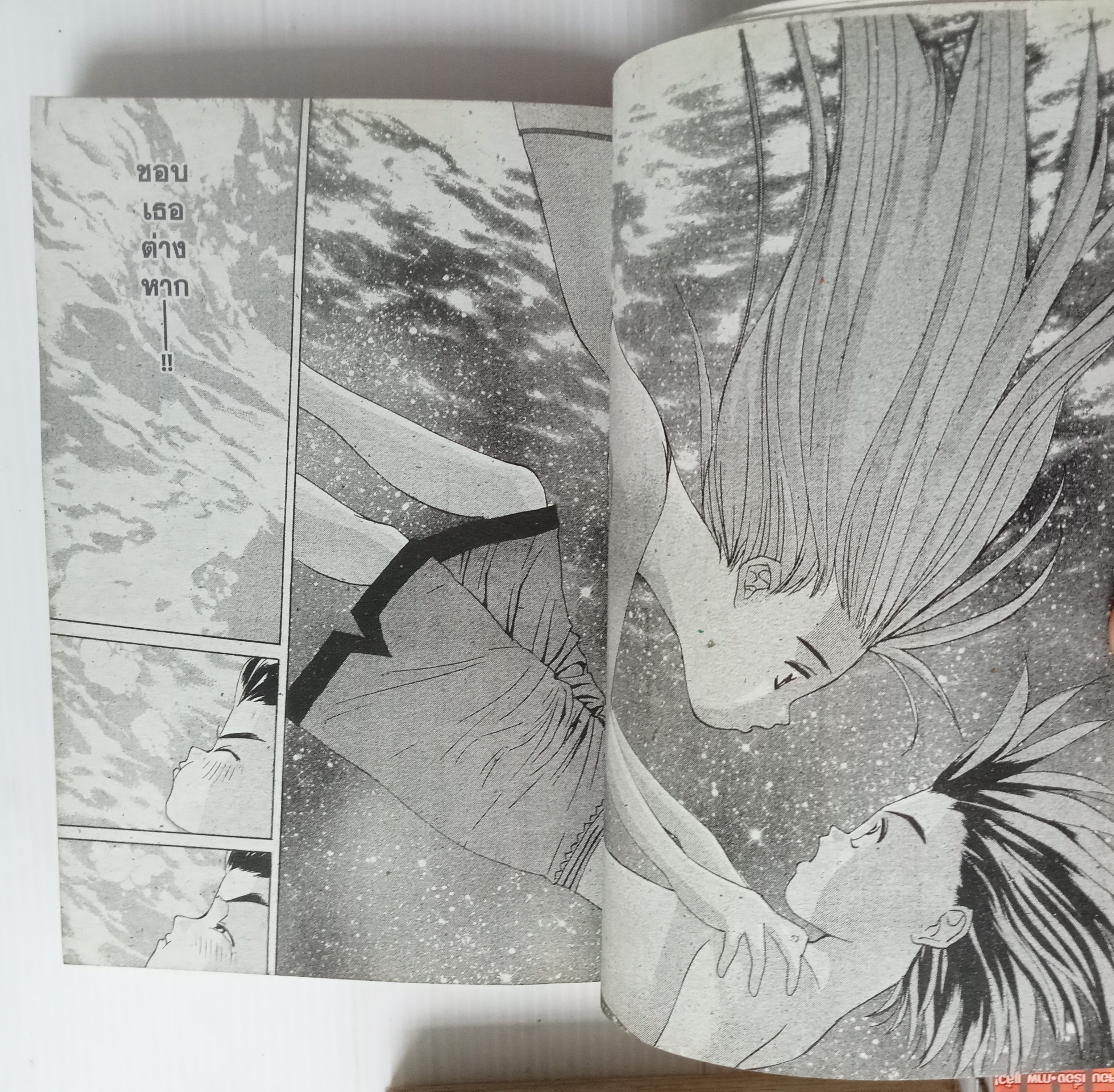 รักสลับขั้ว