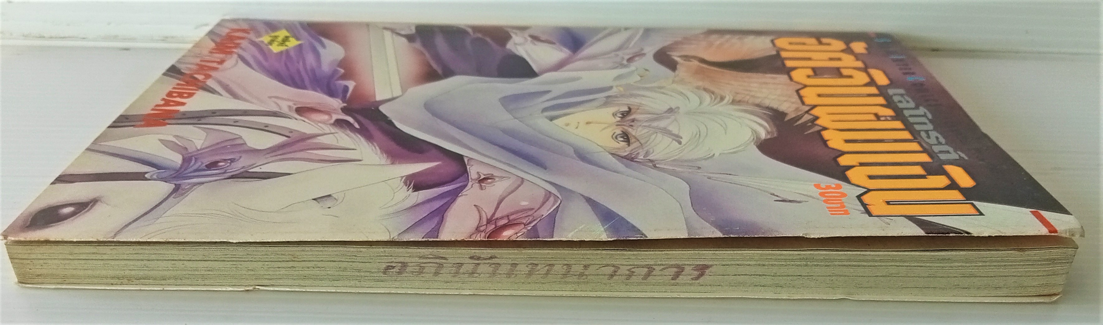 อัศวินผมเงิน