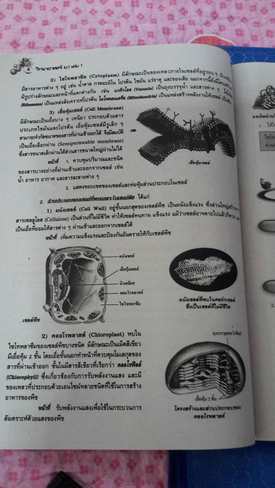 หนังสือสื่อการเรียนรู้และเสริมสร้างทักษะตามมาตรฐานและตัวชี้วัด กลุ่มสาระการเรียนรู้วิทยาศาสตร์ ชั้น ม.1 เล่ม 1 สำนักพิมพ์นิยมวิทยา
