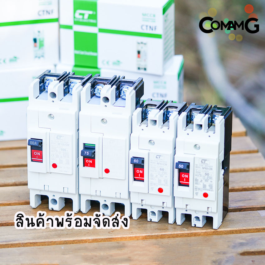 CT Electric เบรกเกอร์ โมเคสเมนเบรกเกอร์ 2เฟส No Fuse Breaker