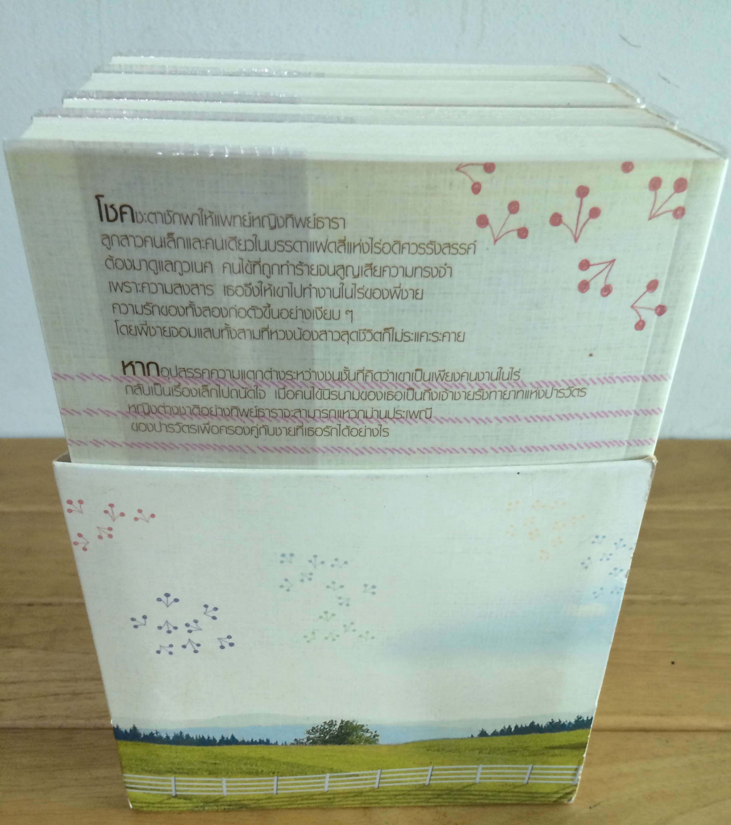 Boxset ชุด 4 หัวใจแห่งขุนเขา (ธาราหิมาลัย ดวงใจอัคนี ปฐพีเล่ห์รัก วายุภัคมนตรา)