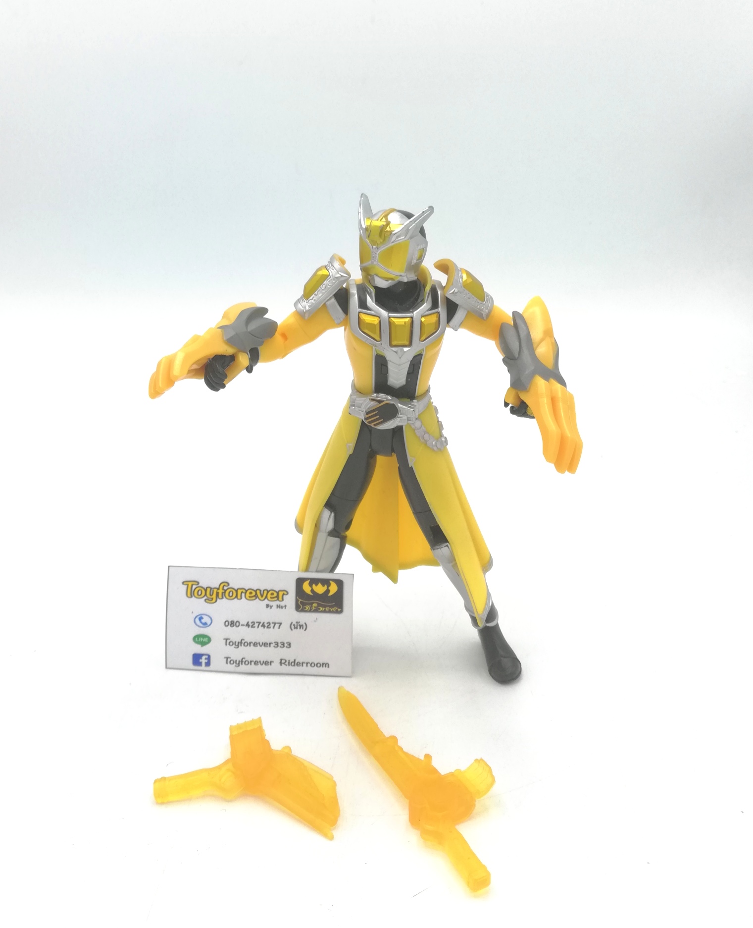 figure rider wizard land dragon