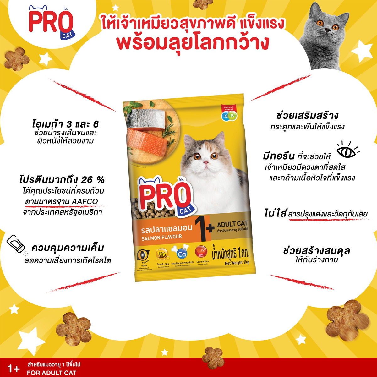 Pro cat โปรแคท อาหารแมว ชนิดเม็ด ขนาด 7 KG