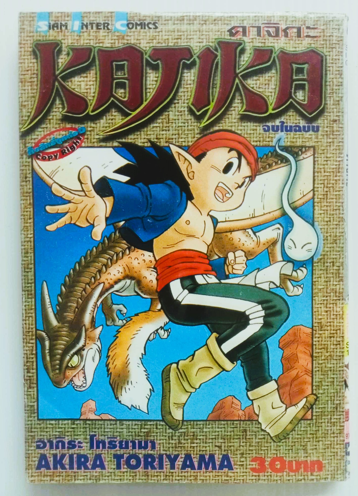 คาจิกะ (โทริยาม่า อากิรา)