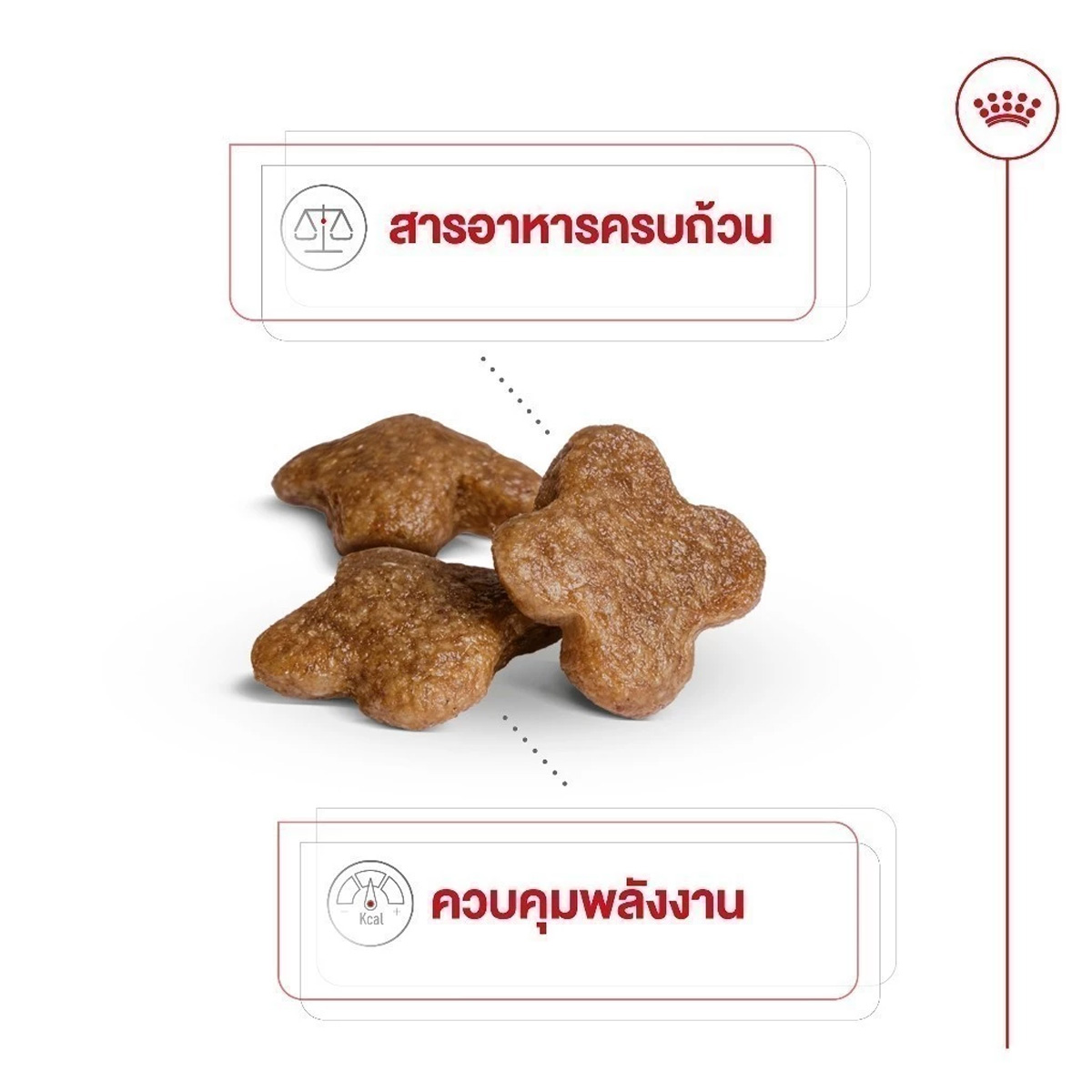 Royal Canin Mini Adult 8+ 800g อาหารเม็ดสุนัขสูงวัย พันธุ์เล็ก อายุ 8 ปีขึ้นไป (Dry Dog Food, โรยัล คานิน)