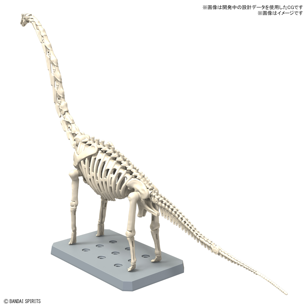<Preorder ปิดรับวันที่ 15/6/2024 > 🔔เปิดรับPreorder ไม่ต้องมัดจำครับ planosaurus brachiosaurus