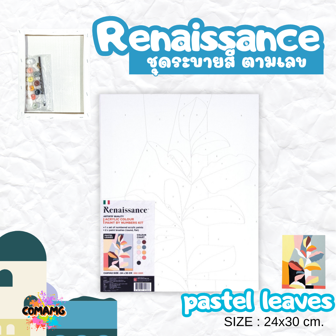 Renaissance ชุดแคนวาส ชุดระบายสีตามเลข Paint by Number Kit Size 24x30 cm. พร้อมส่ง