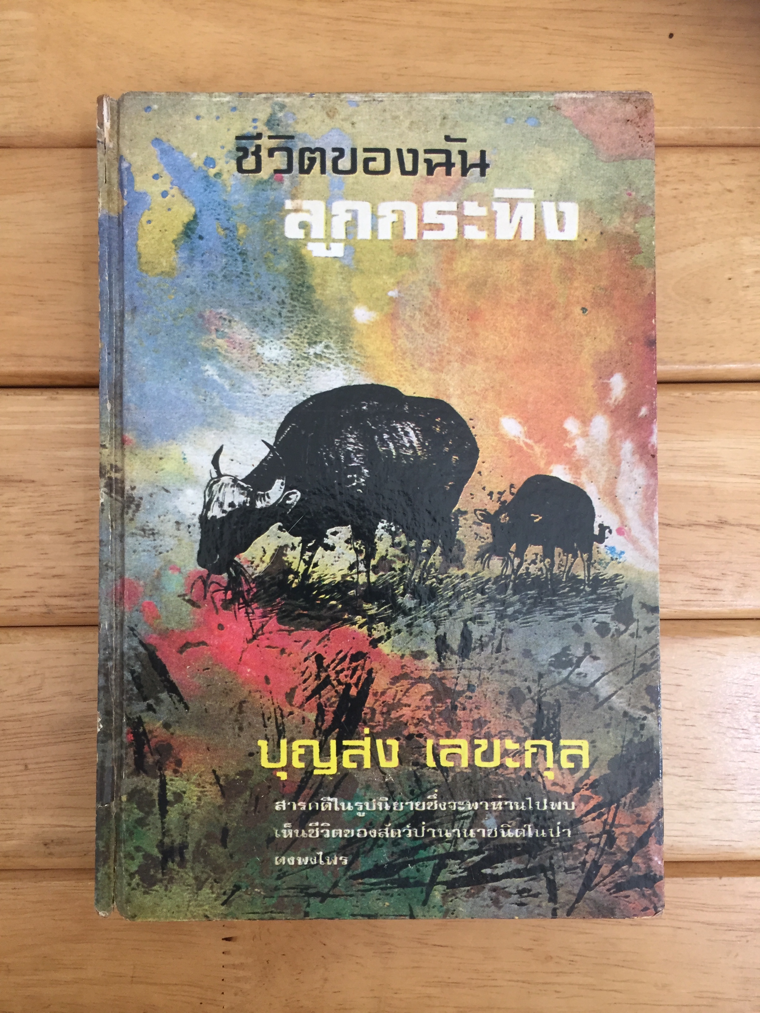 ชีวิตของฉันลูกกระทิง *หนังสือดีร้อยเล่มที่เด็กและเยาวชนไทยควรอ่าน*