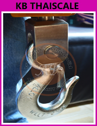 ตาชั่งแขวนดิจิตอล3ตัน ตาชั่งแขวน3000kg เครื่องชั่งดิจิตอลแขวน3000กิโล เครื่องชั่งแบบแขวน3000kg เครื่องชั่งแขวน3000kg ละเอียด1kg ZEPPER SCALE OCS-XZ 3000kg/1kg (ผ่านการตรวจรับรองจากสำนัก ชั่ง ตวง วัด)