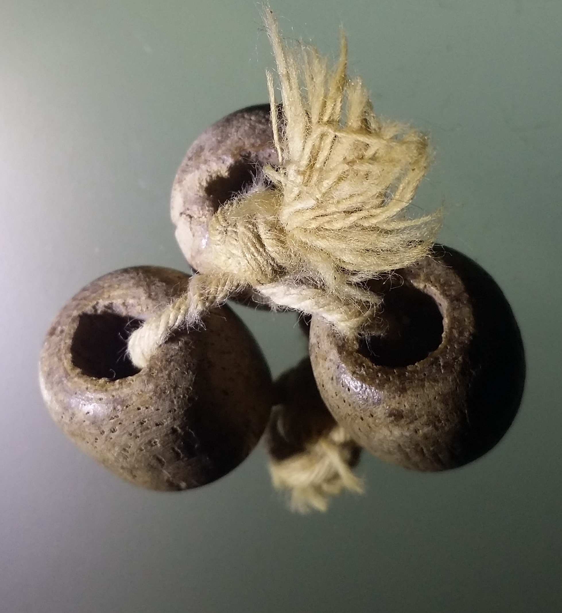 antig FB 470 เครื่องรางของขลัง ลูกคั่น พวง พันด้วยด้ายสายสิญจน์